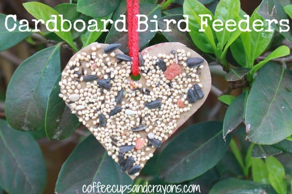 Cardboard Bird Feeders