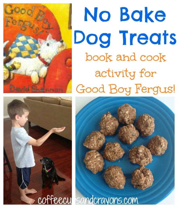 Homemade Dog Treats: Good Boy Fergus! Book and Cook Activity