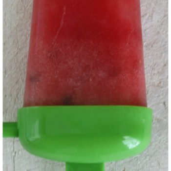 Watermelon Popsicles! Healthy kids snack that is super healthy and you only need 2 ingredients! YUM!