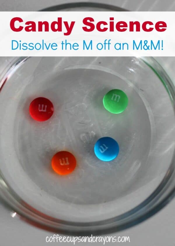 Candy Science for Kids M&M Experiment Coffee Cups and Crayons