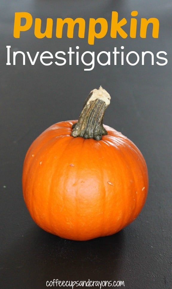 Pumpkin Investigations! Fun pumpkin themed science and math investigations with a #FreePrintable!