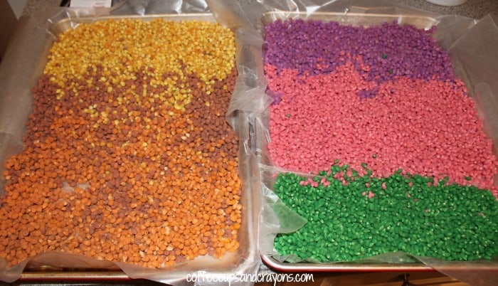Colored Popcorn Kernels for Thanksgiving Kids Craft