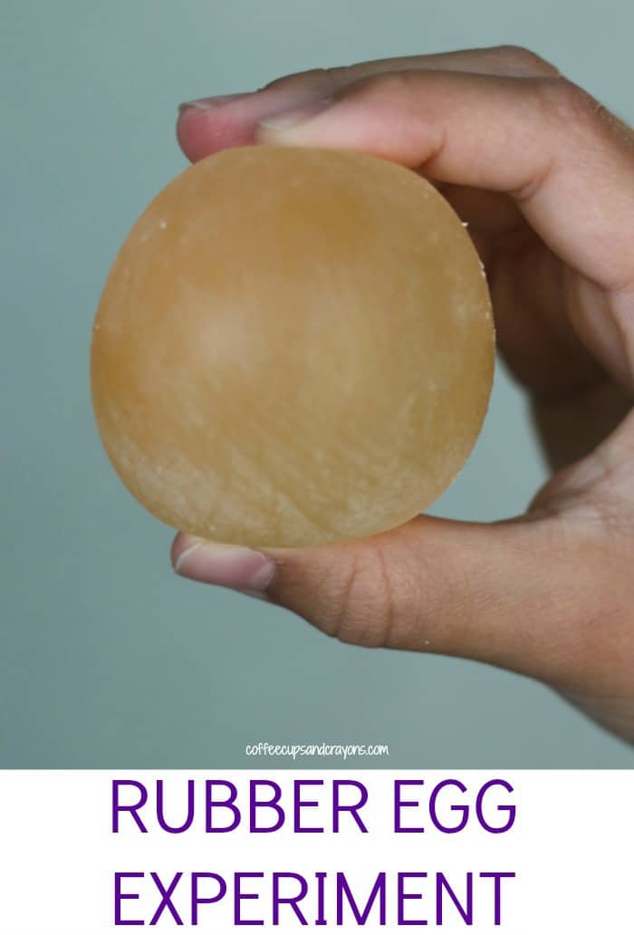 How to Make a Rubber Egg Science Experiment for Kids