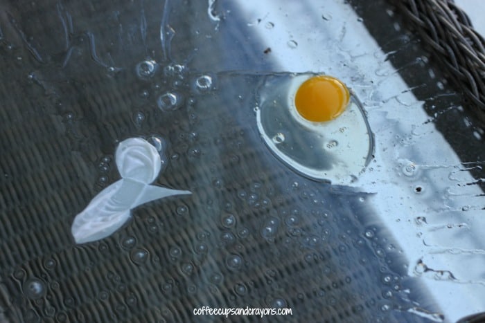 What Happens to a Rubber Egg When You Drop It