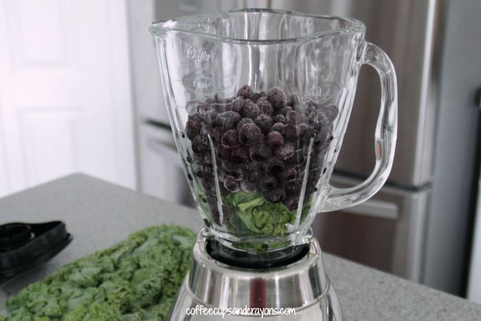 Healthy Blueberry Kale Smoothie Recipe {Kid Friendly}