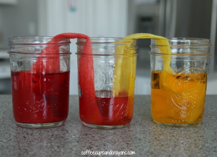 Cool Science Experiment for Kids