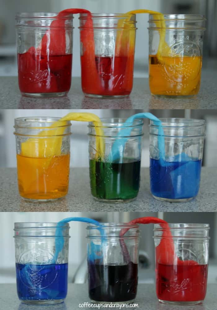 Walking Water Science Experiment for Kids