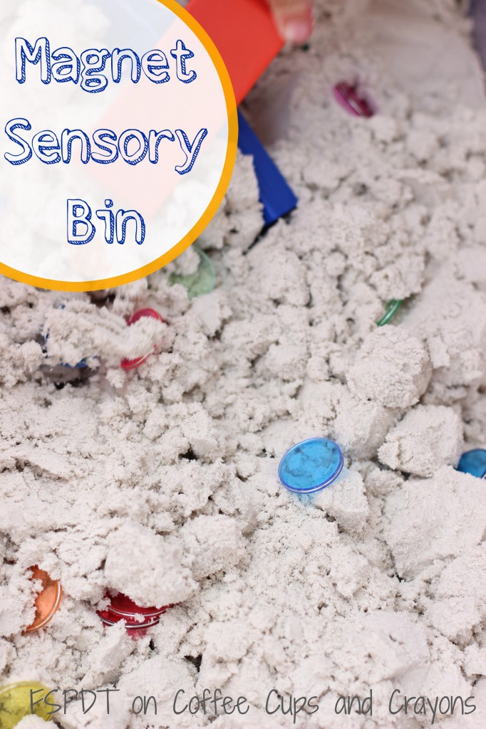 Magnet Sensory Bin Science Activity for Kids!