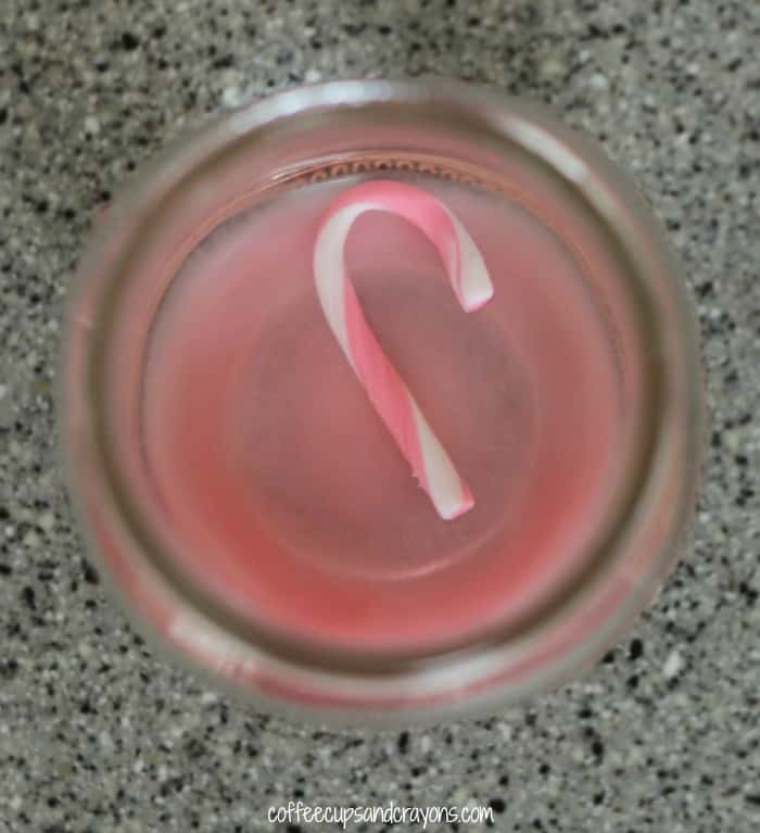 Cool Candy Cane Science Experiment for Kids