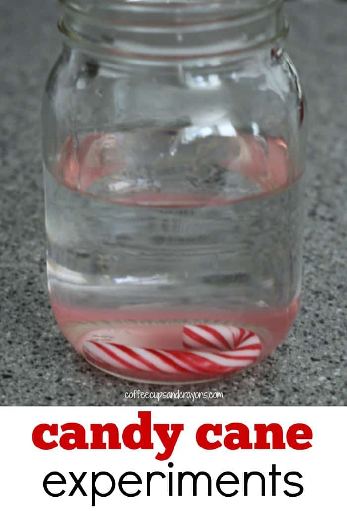 Dissolving Candy Cane Science Experiment for Kids!