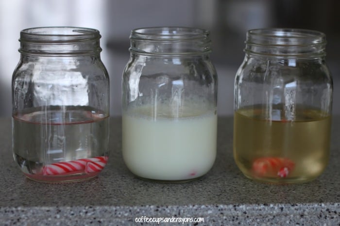 Simple Candy Cane Science Experiment for Kids!