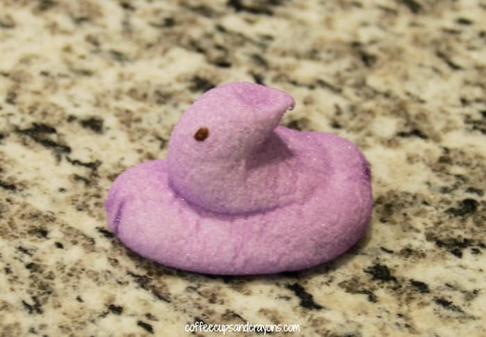 Peeps Easter Science Experiments for Kids