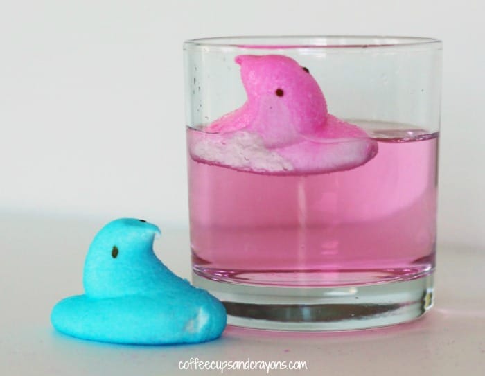 Peeps Science Experiments for Kids! Free printable in post!