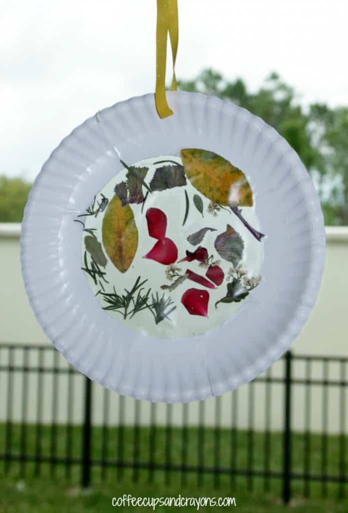 Nature Suncatcher Craft for Kids | Coffee Cups and Crayons