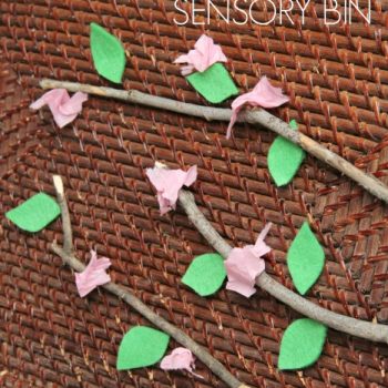 Make a Build a Cherry Blossom Sensory Bin