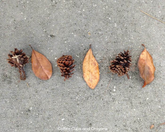 Math patterns in nature activity for kids!