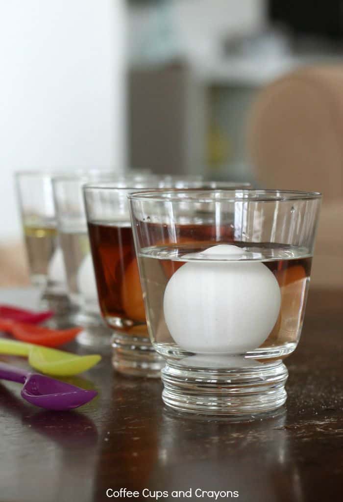 Get kids thinking with this Make an Egg Float science experiment! Perfect for science fair projects!