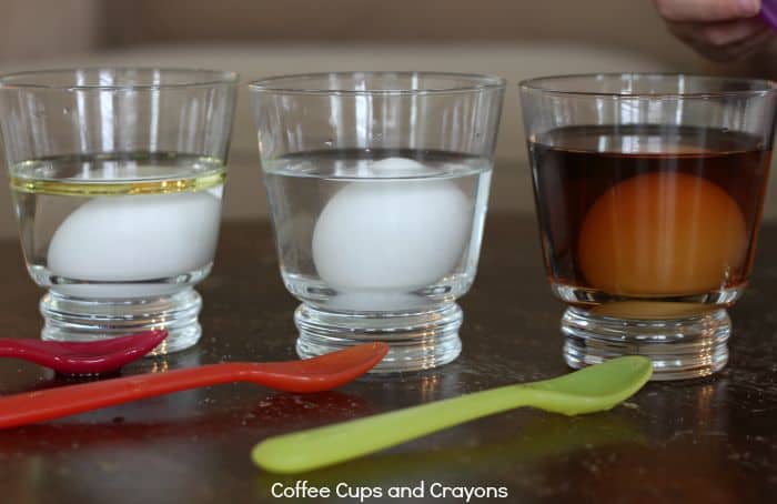 Science Fair Project Idea for Kids--Make an Egg Float!
