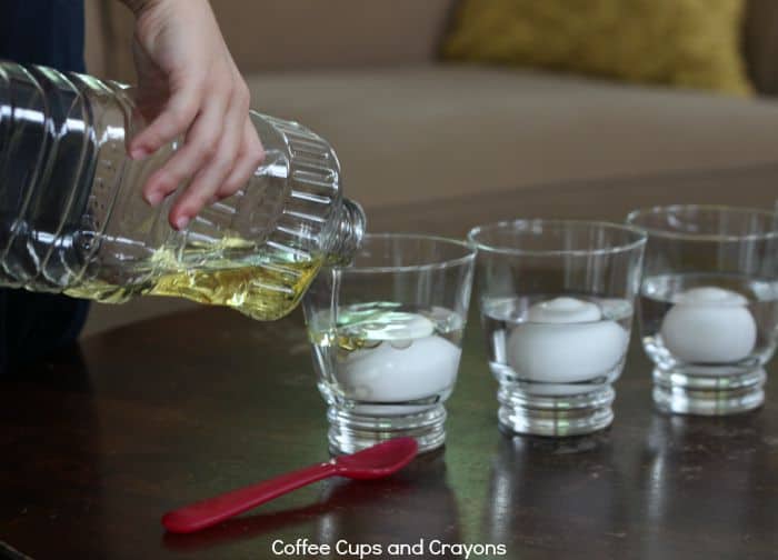 Simple Science Experiment for Kids