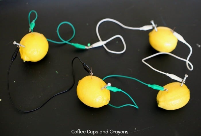 How to Make a Lemon Battery with Kids