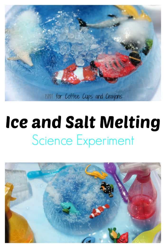 Ice and Salt Science Experiment 