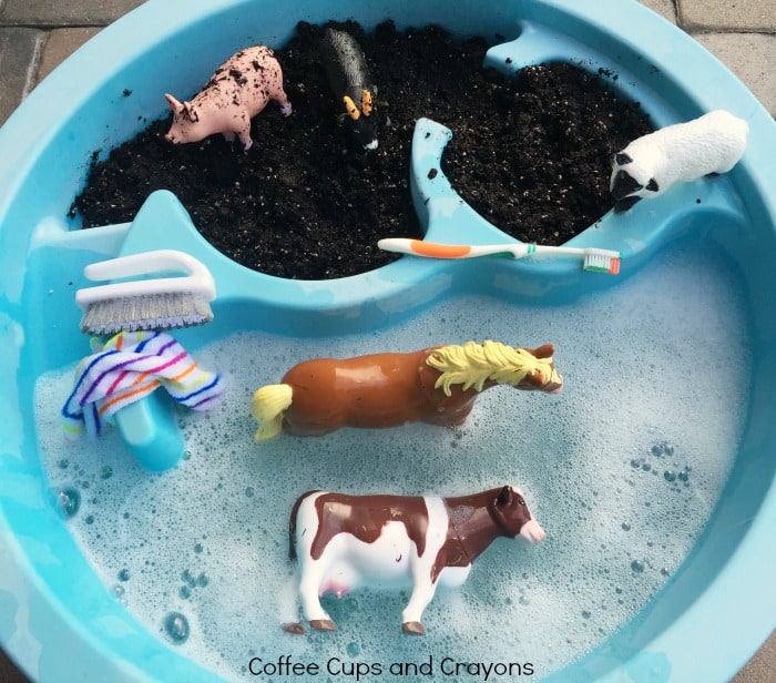 set-up-a-farm-animal-washing-sensory-bin-for-your-preschooler-today