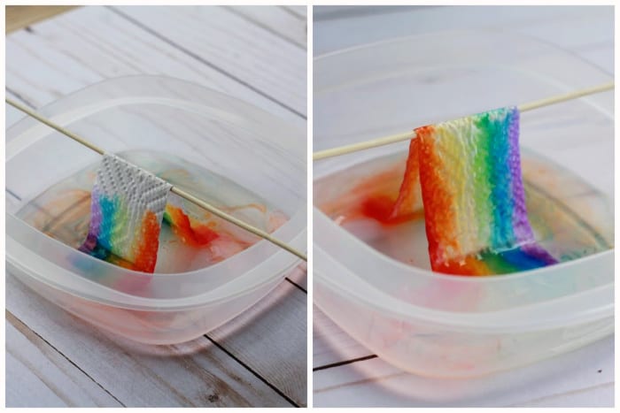 Easy Grow a Rainbow on Paper Towel Experiment